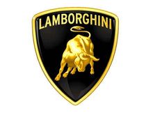 Load image into Gallery viewer, Car Key Chain